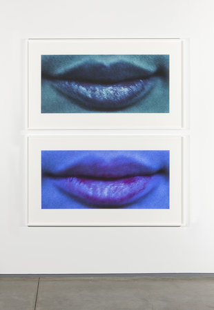 Ssa%2012%20lips%20diptych%201%2071x61_675_450