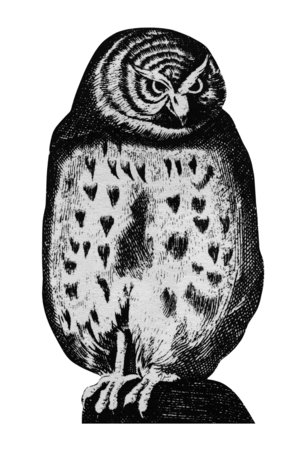 Owl_675_450